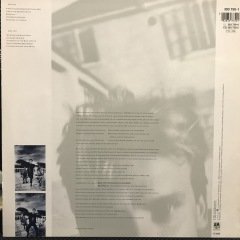 Sting The Dream Of The Blue Turtles LP Plak