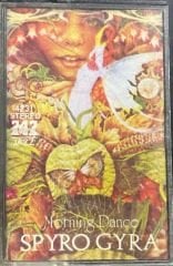 Spyro Gyra Morning Dance Kaset