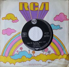 Jim Reeves Take Me İn Your Arms And 45lik Plak