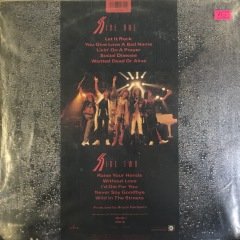 Bon Jovi Slippery When Wet LP Plak