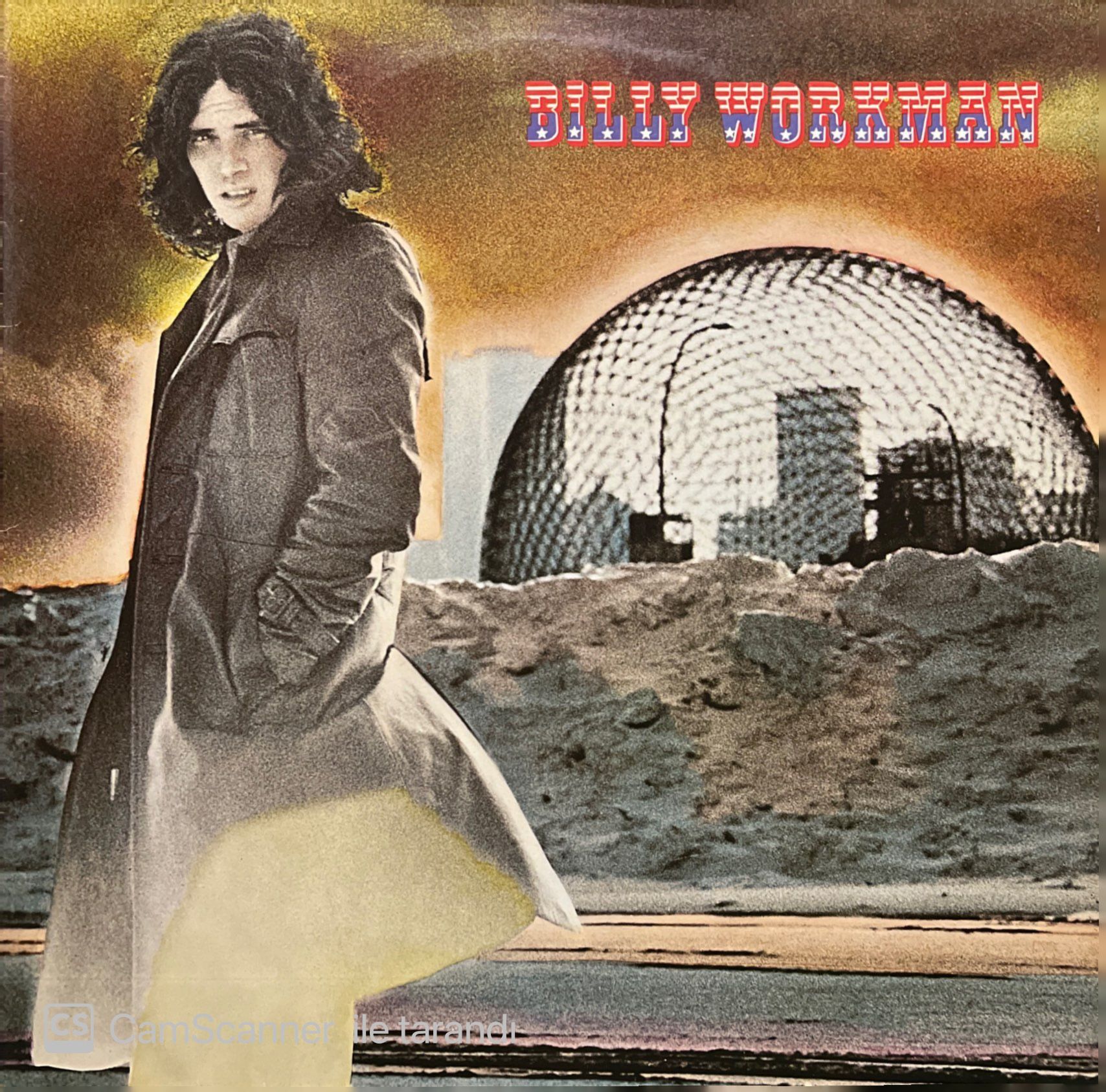 Billy Workman LP Plak