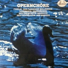 Opernchöre Fidelio Der Fliegende Hollander LP Plak