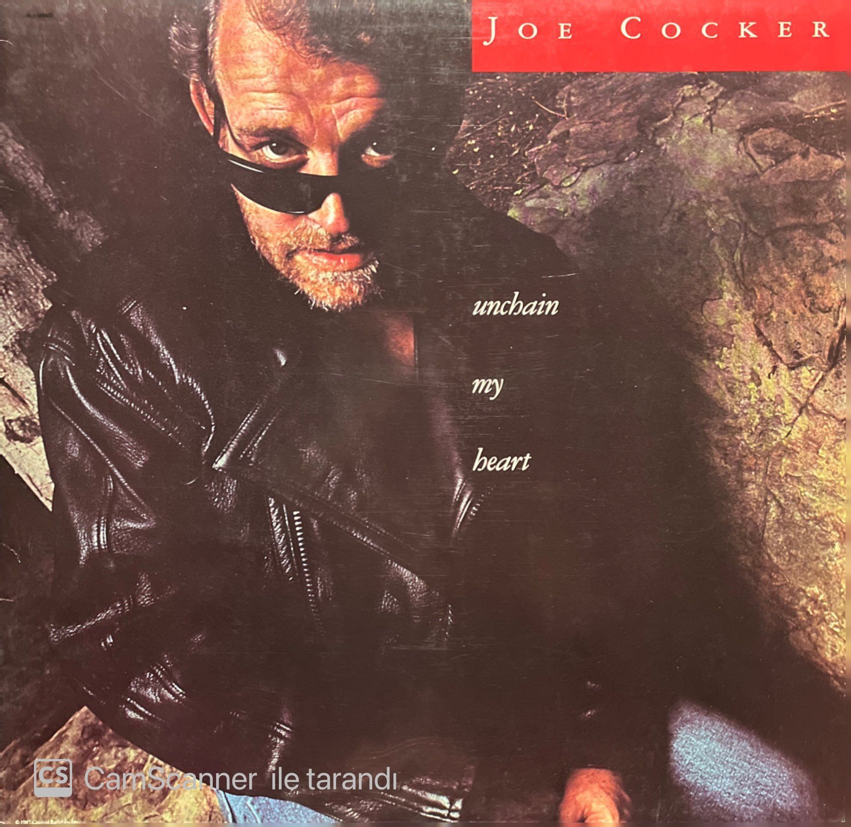Joe Cocker Unchain My Heart LP Plak