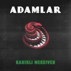 Adamlar Kahırlı Merdiven LP Plak