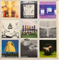 Pink Floyd A Nice Pair Double LP Plak