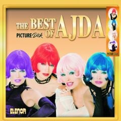 Ajda Pekkan The Best Of Ajda (Picture Disc) LP Plak