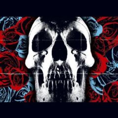 Deftones Deftones LP Plak