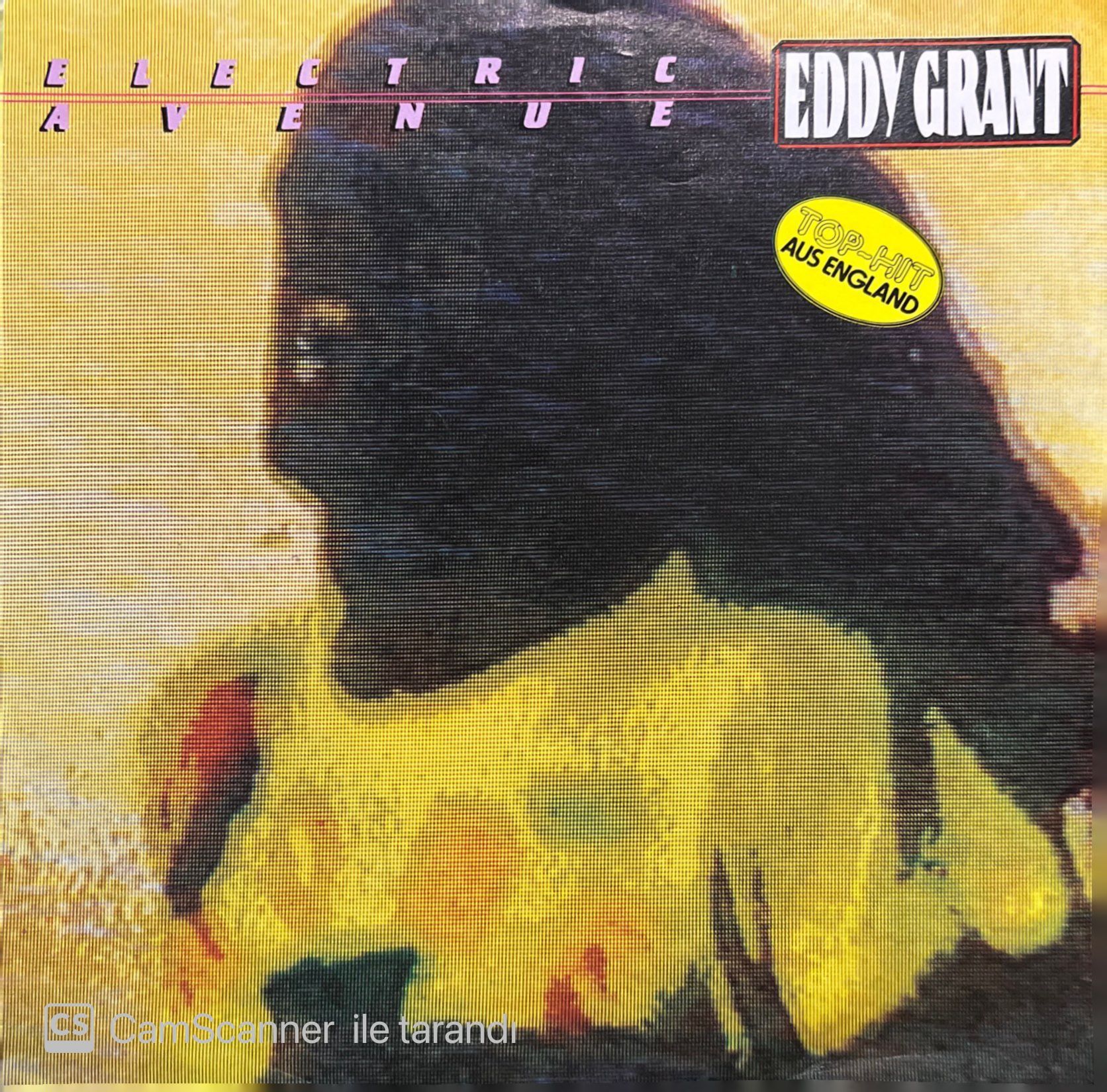 Eddy Grant Electric Avenue 45lik Plak