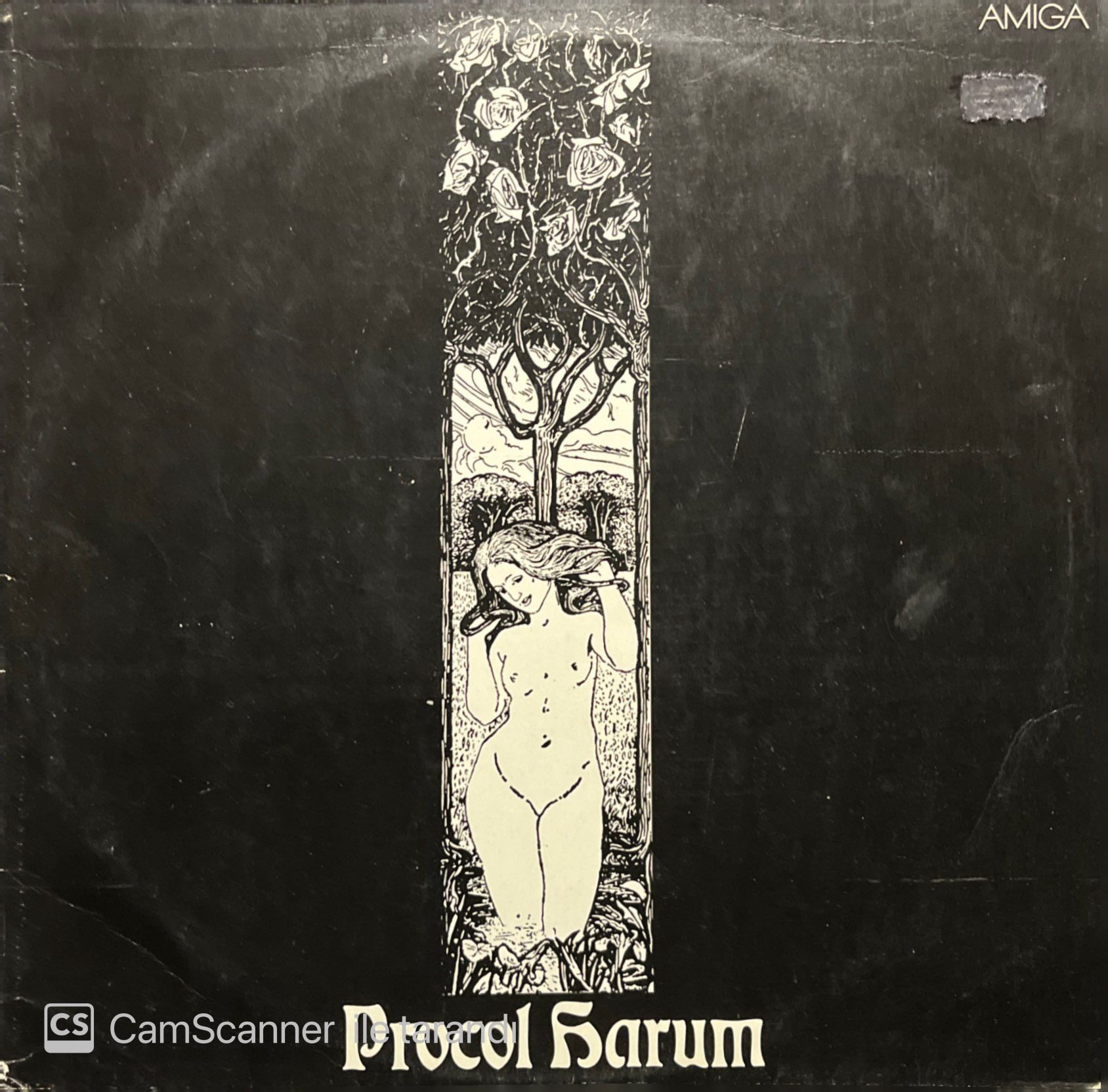 Procol Harum Procol Harum LP Plak