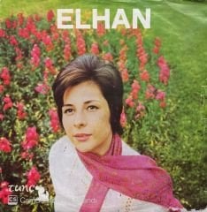 Elhan Ben Seni Unutmak İçin Sevmedim 45lik Plak