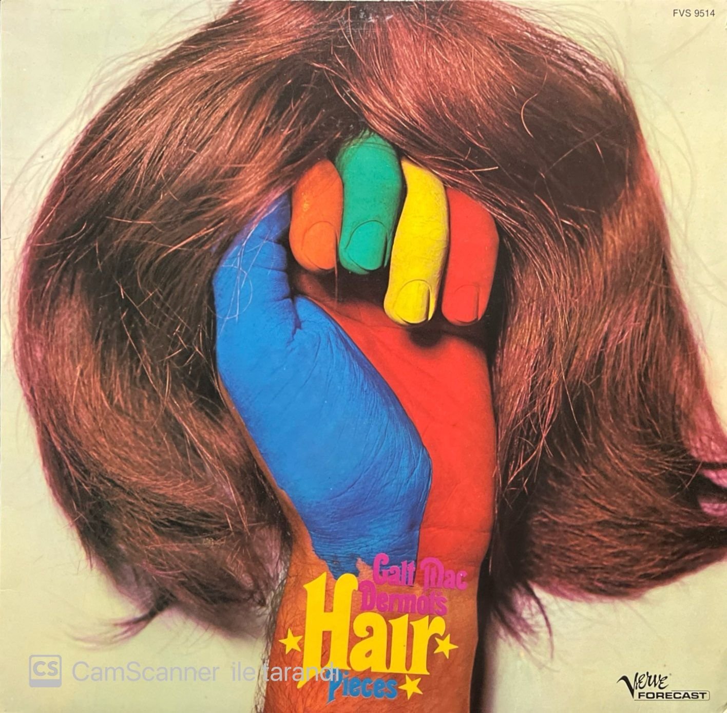 Hair Pieces LP Plak