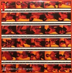 Sidney Youngblood If Only I Could LP Plak