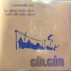 Gülgün Unutmadım Seni Depo Malı 45lik Plak