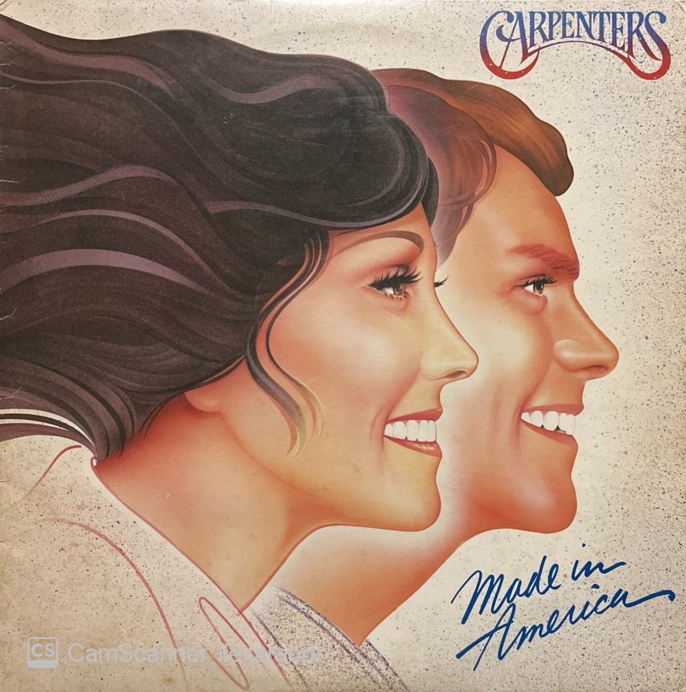 Carpenters Made In America LP Plak