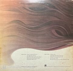 Carpenters Made In America LP Plak