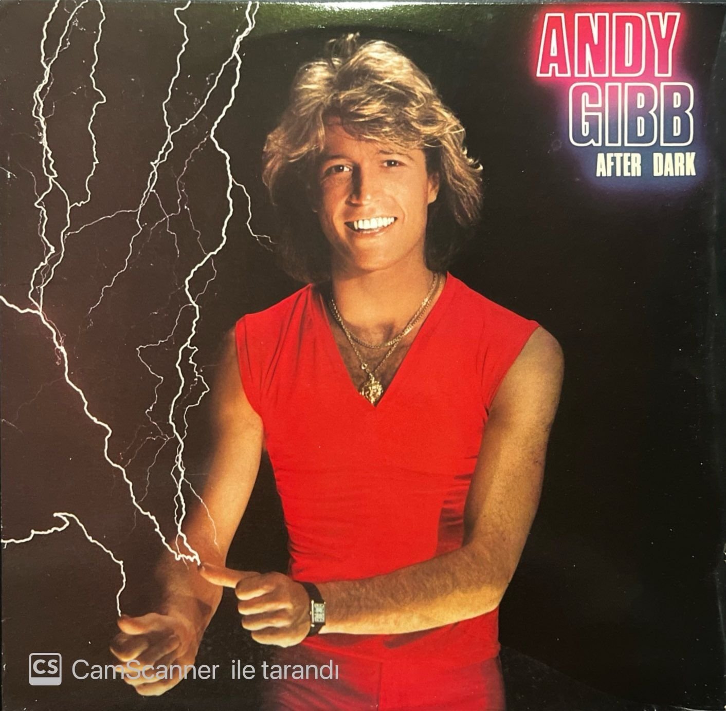 Andy Gibb After Dark LP Plak