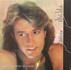 Andy Gibb After Dark LP Plak