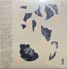 Mitski The Land is Inhospitable and So Are We LP Plak