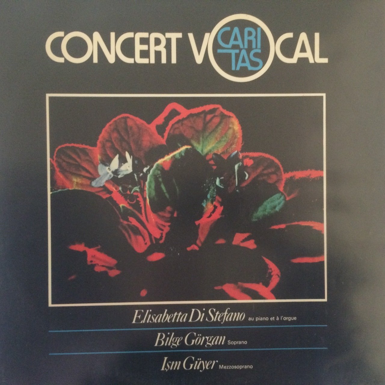 Concert Vocal Bilge Görgan Işın Güyer LP Plak
