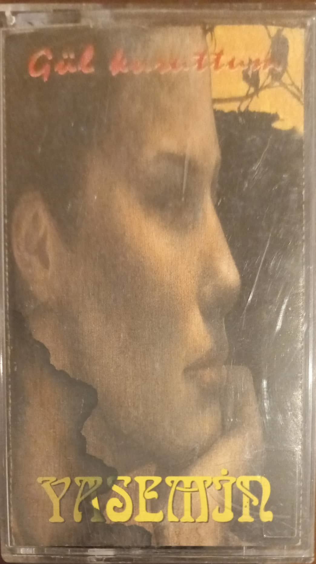 Yasemin Gül Kuruttum Kaset