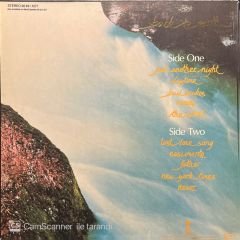 Cat Stevens Back To Earth LP Plak