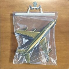 Black Country, New Road Ants from Up There 2022 Baskı Double LP Plak