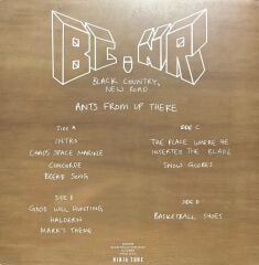 Black Country, New Road Ants from Up There 2022 Baskı Double LP Plak