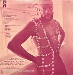 Isaac Hayes Joy LP Plak