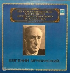 Tchaikovsky Symphony 4 Leningrad Philharmonic Orchestra Çift LP Klasik Plak