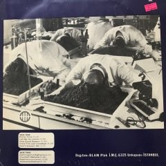 The Alan Parsons Project Ammonia Avenue LP Plak