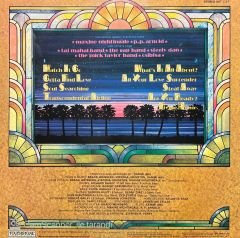 Flying Home Summer LP Plak