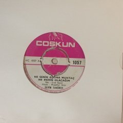 Sevim Tanürek Ne Senin Aşkına Muhtaç 45lik Plak