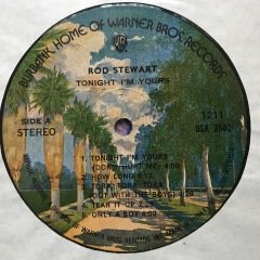 Rod Stewart Tonight I'm Yours LP Plak