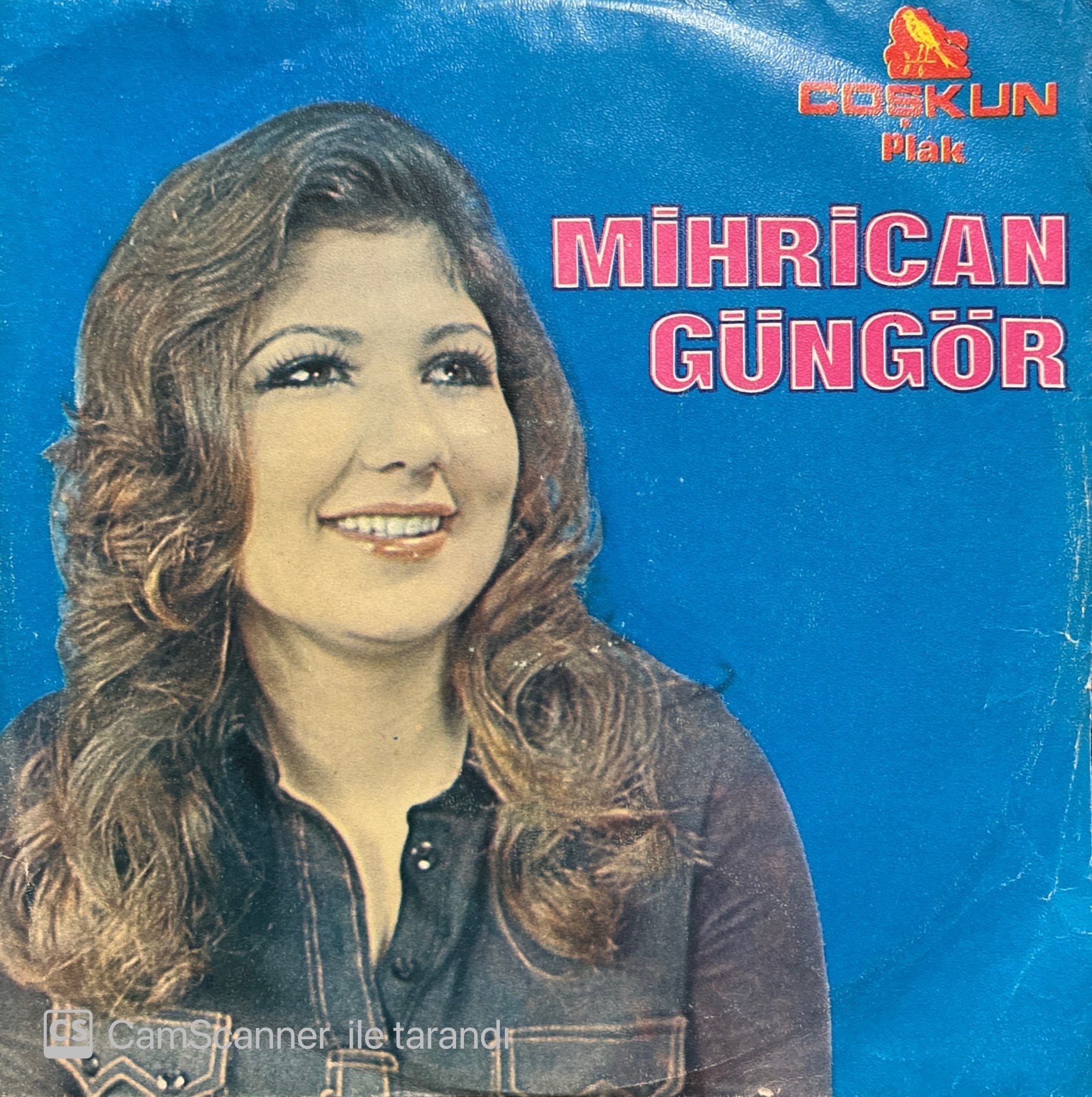 Mihrican Güngör Eniştem Beni Niye Öptü 45lik Plak