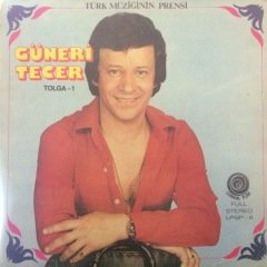 Güneri Tecer Unutmadım Seni Ben  LP Plak