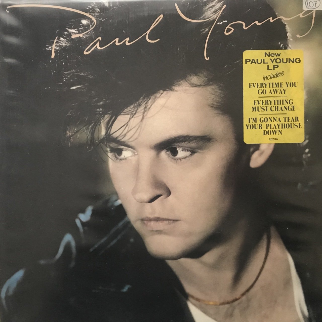 Paul Young The Secret Of Association LP Plak