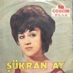 Şükran Ay Hani Söz Vermiştin İçmeyecektin 45lik Plak
