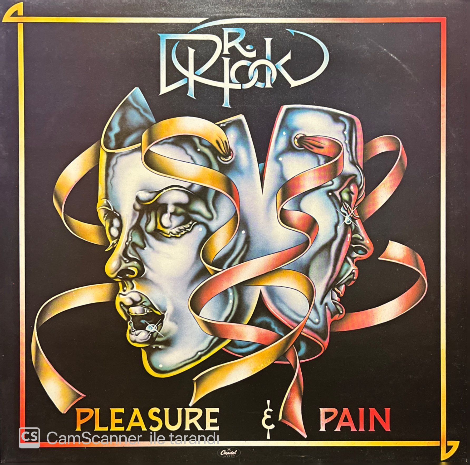 Dr. Hook Pleasure & Pain LP Plak