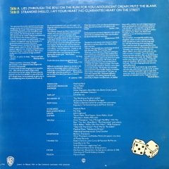 Manfred Mann's Earth Band LP Plak