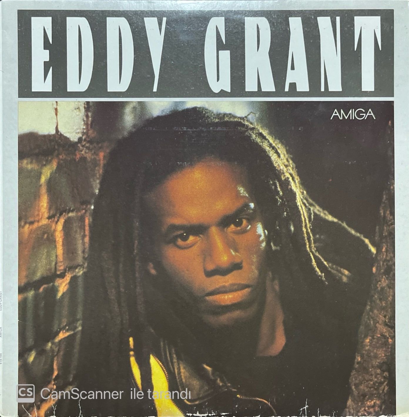 Eddy Grant Eddy Grant LP Plak