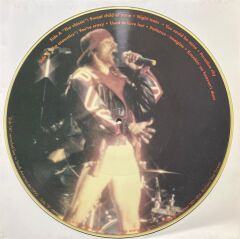 Guns 'n' Roses The Classic & The Acoustic Picture Disc LP Plak