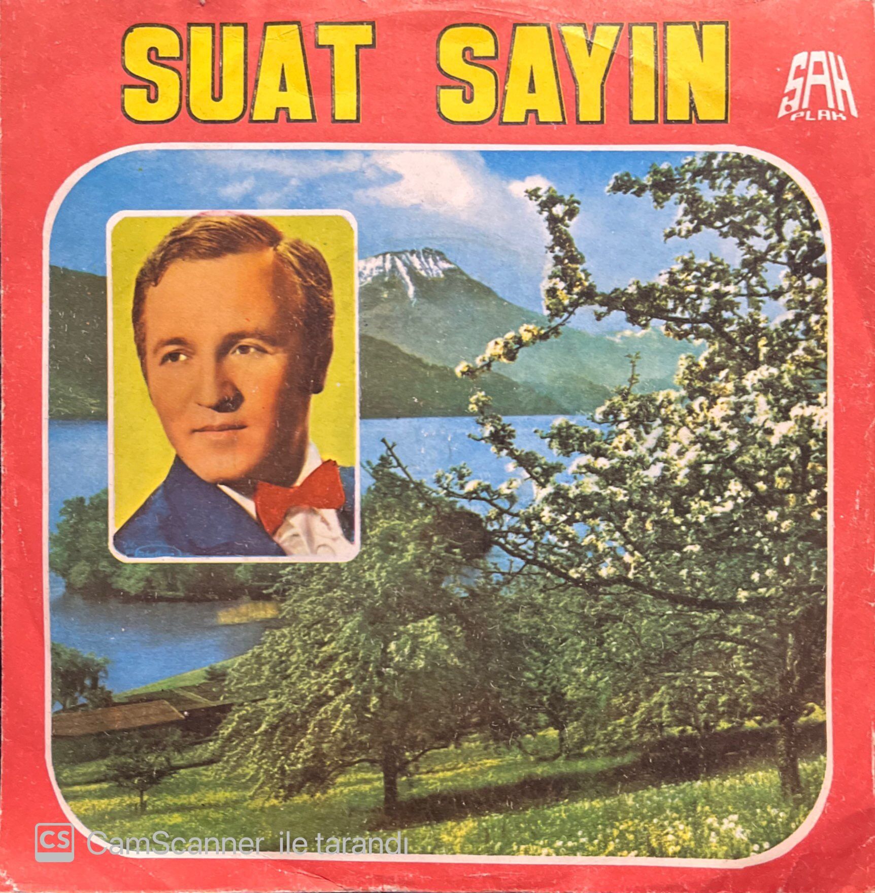 Suat Sayın Dertliler Meyhanesi 45lik Plak