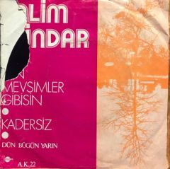 Salim Dündar Sen Mevsimler Gibisin 45lik plak