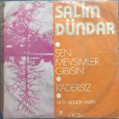 Salim Dündar Sen Mevsimler Gibisin 45lik plak
