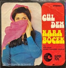 Gülden Karaböcek Nem Kaldı 45lik Plak