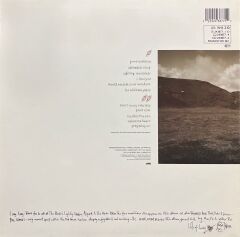 Tanita Tikaram Ancient Heart LP Plak