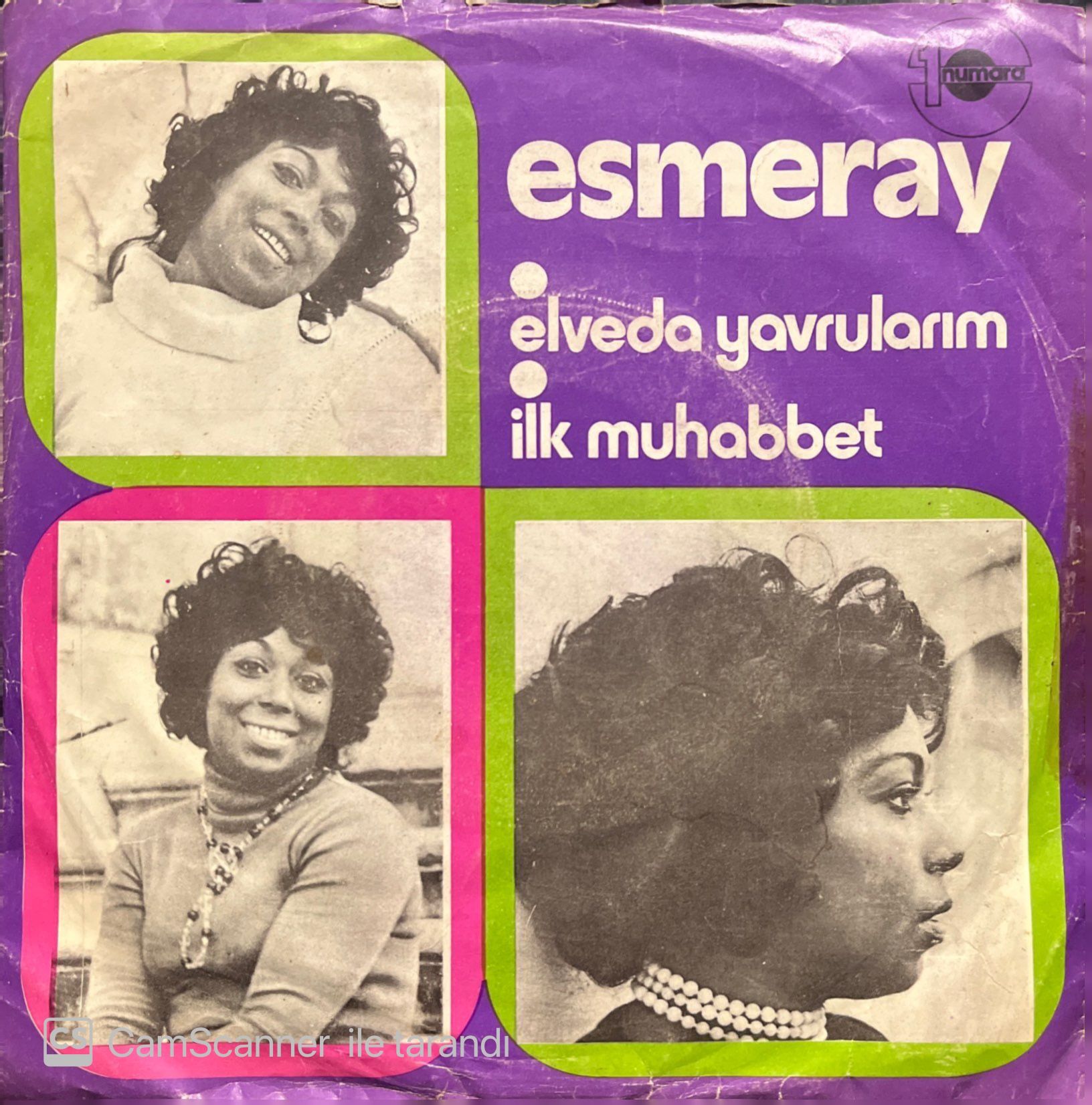 Esmeray Elveda Yavrularım 45lik Plak