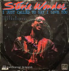 Stevie Wonder I Just Called To Say I Love You 45lik Plak