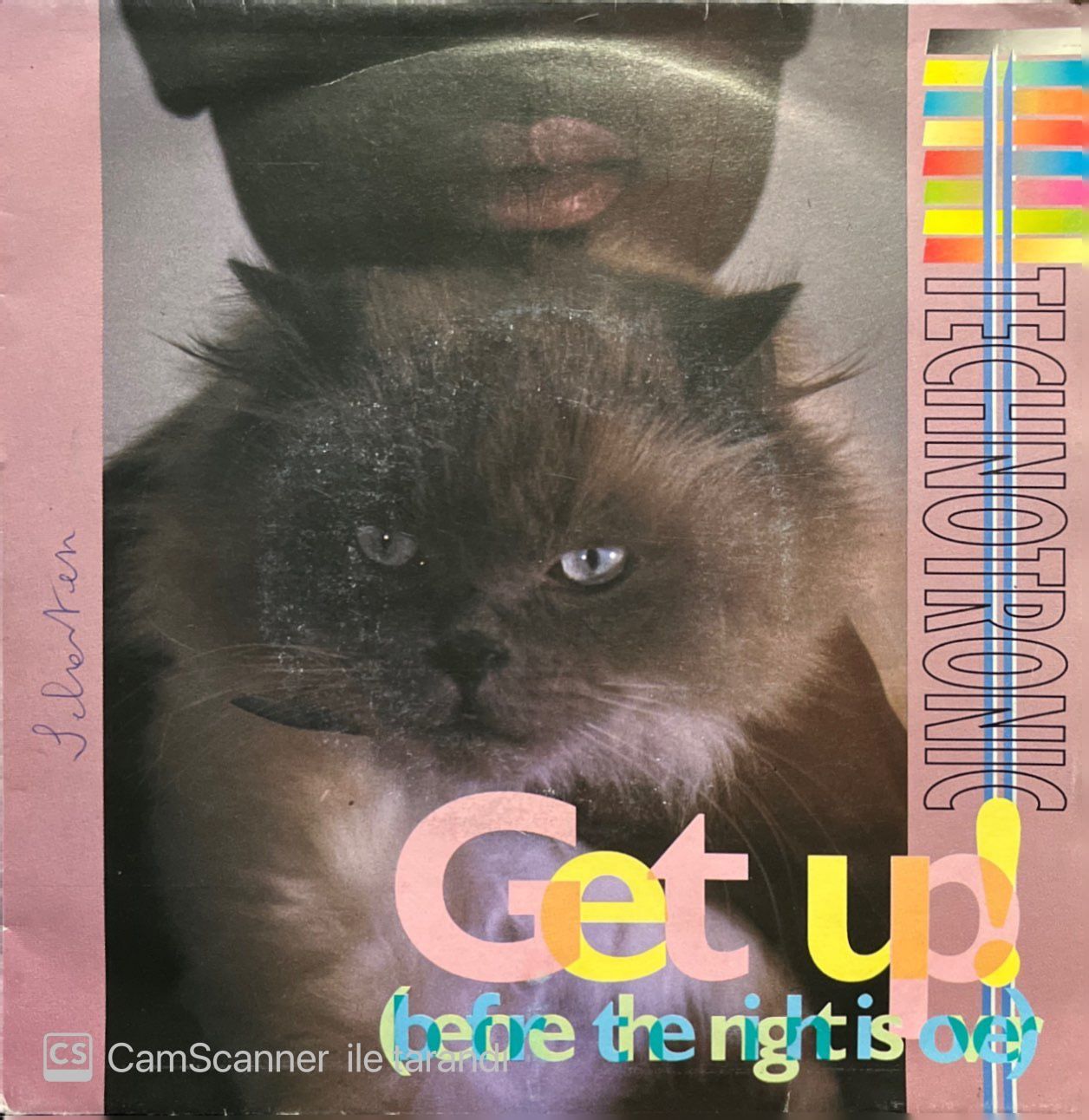 Technotronic Get Up 45lik Plak