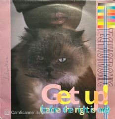 Technotronic Get Up 45lik Plak